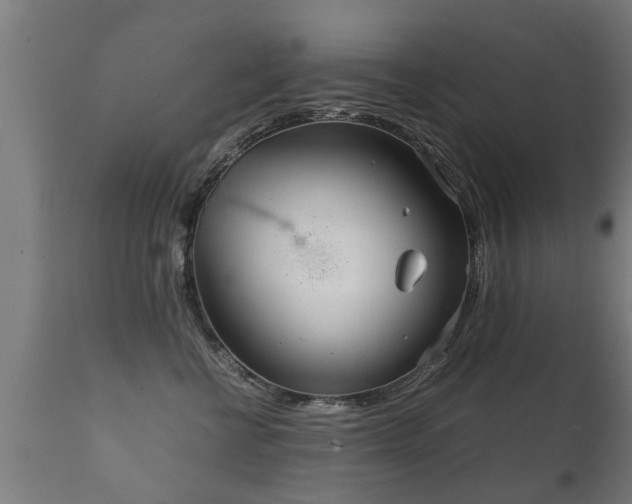 X0000112090570200908111356