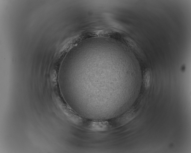 X0000112090571200908111357