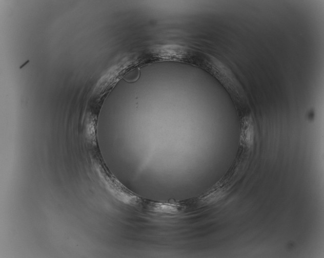 X0000112090573200908111357