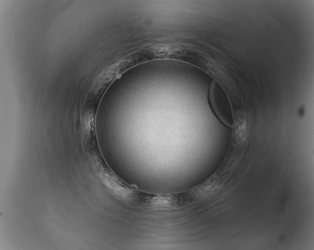 X0000112090574200908111357