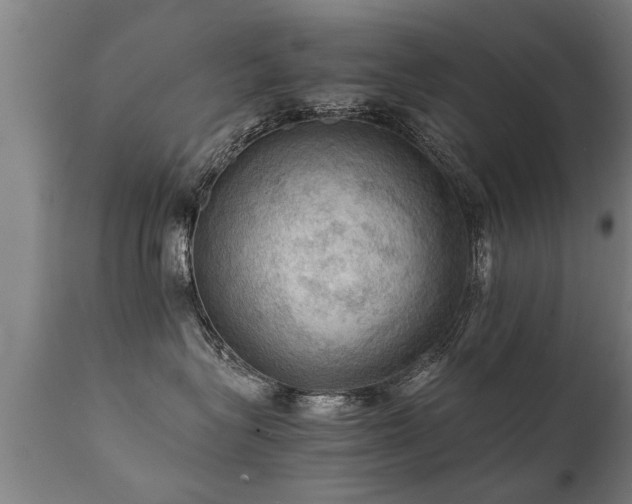 X0000112090575200908111357