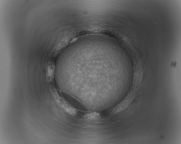 X0000112090576200908111357