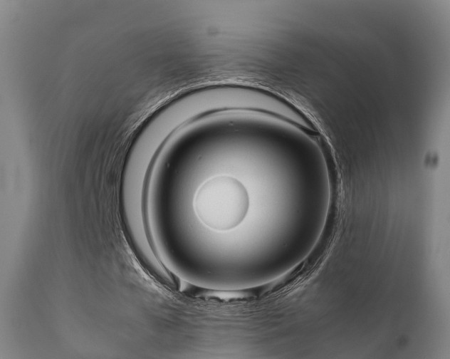 X0000112090577200908111355