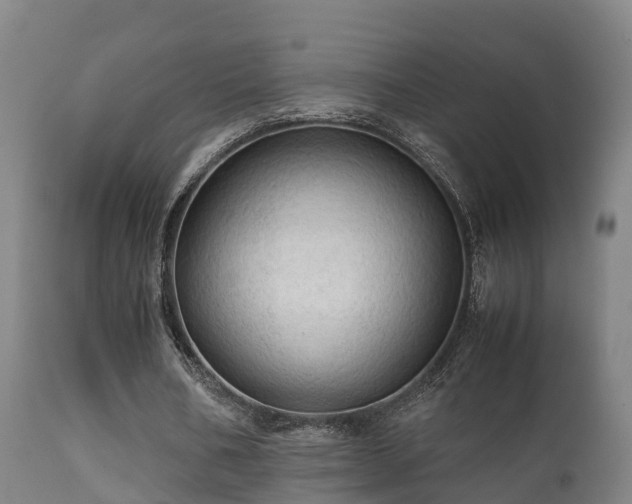 X0000112090578200908111355