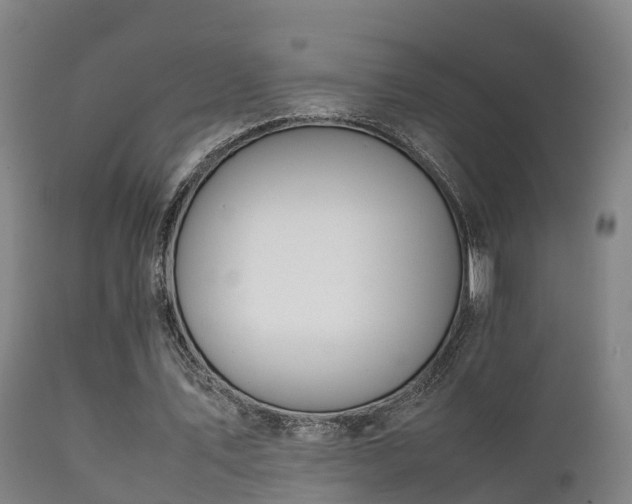 X0000112090579200908111355