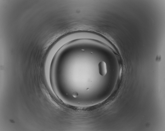 X0000112090581200908111355