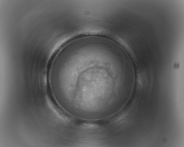 X0000112090582200908111355