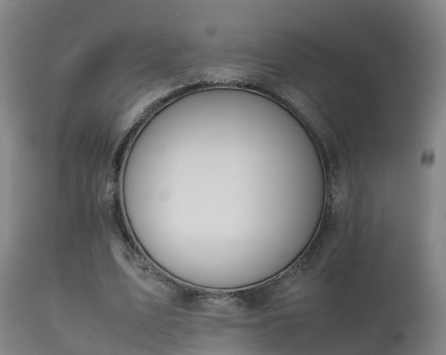 X0000112090583200908111355