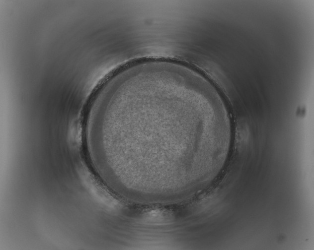 X0000112090584200908111355