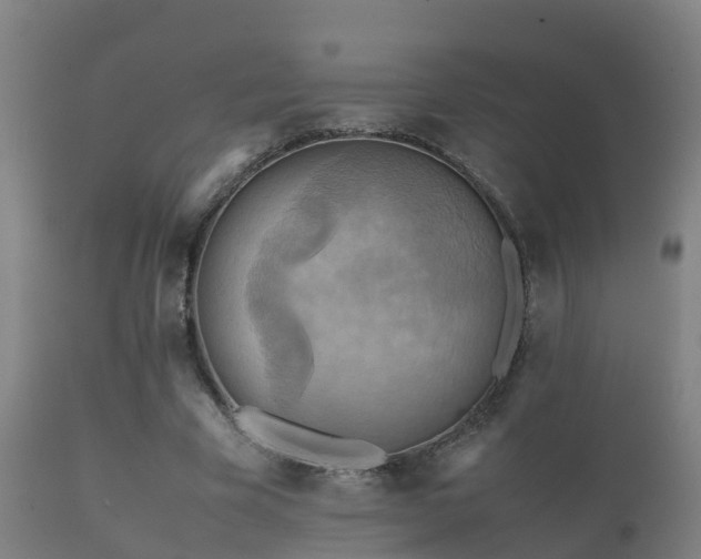 X0000112090585200908111355