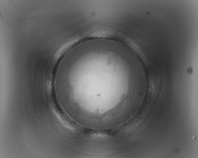 X0000112090586200908111355