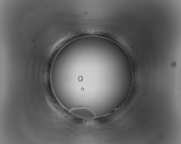 X0000112090587200908111355