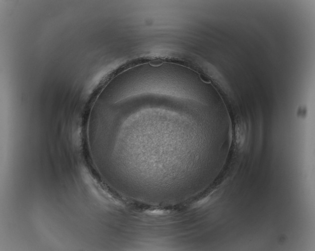 X0000112090588200908111355