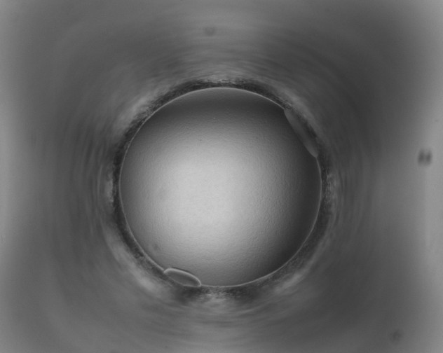 X0000112090589200908111355