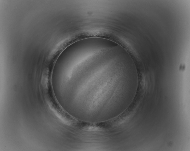 X0000112090590200908111355