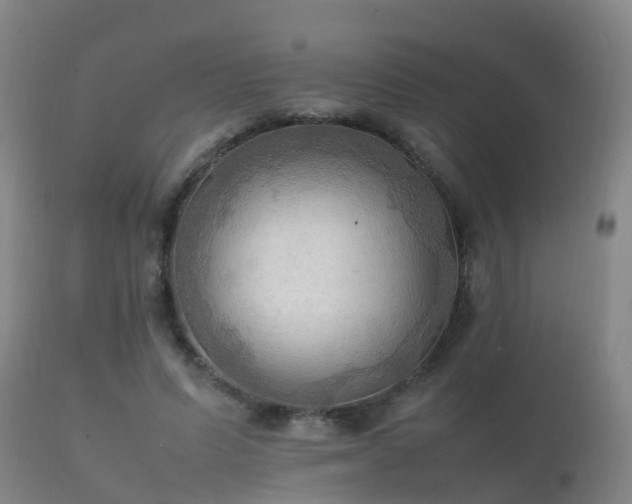 X0000112090591200908111355