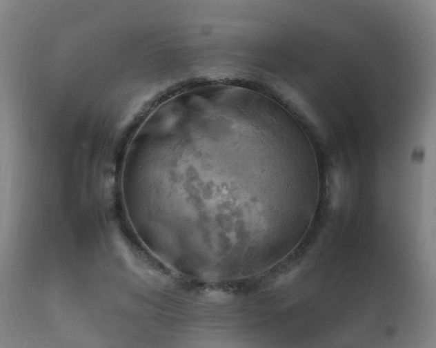 X0000112090592200908111355