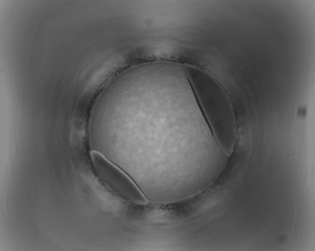 X0000112090593200908111355