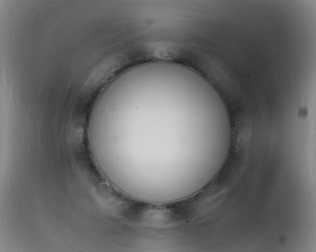 X0000112090595200908111355