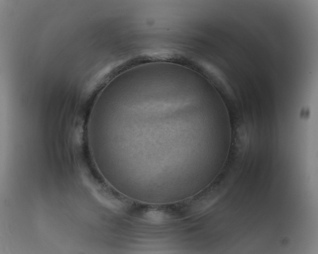 X0000112090596200908111355