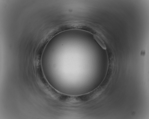 X0000112090597200908111355