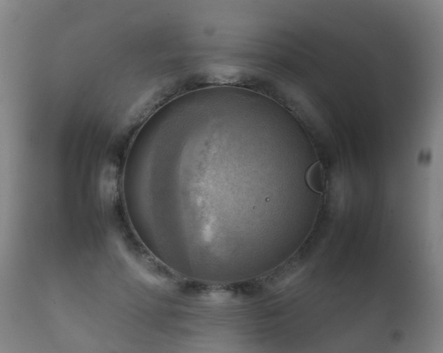 X0000112090598200908111355