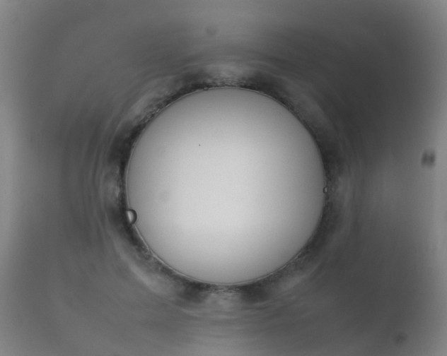 X0000112090599200908111355