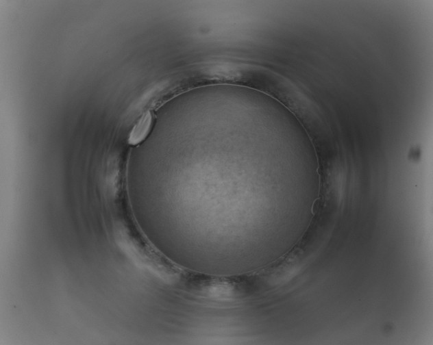 X0000112090600200908111355