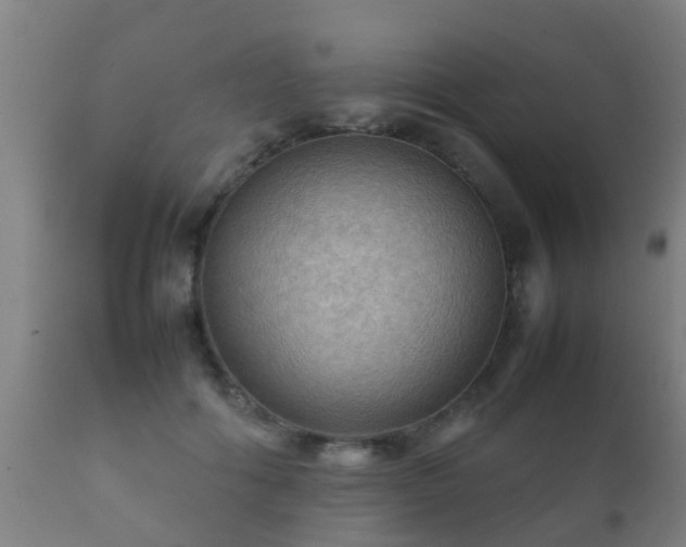 X0000112090602200908111355