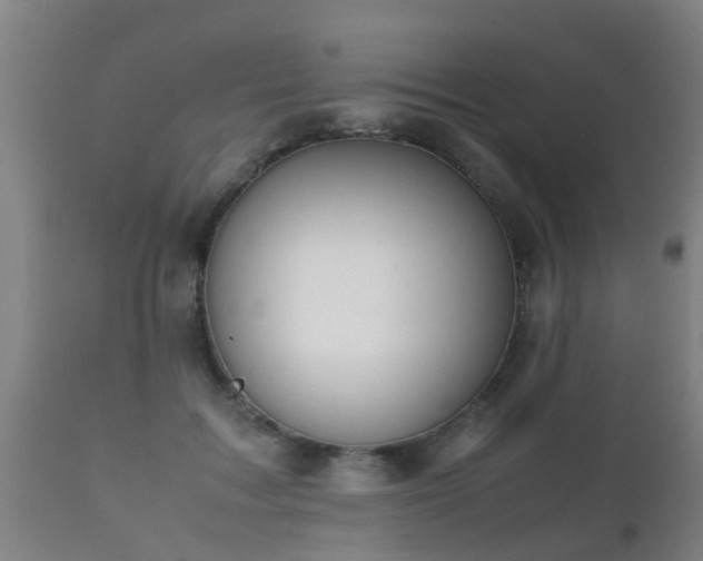 X0000112090603200908111355