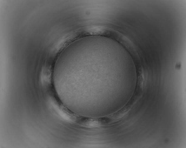 X0000112090604200908111355