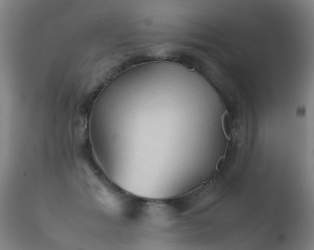 X0000112090605200908111355