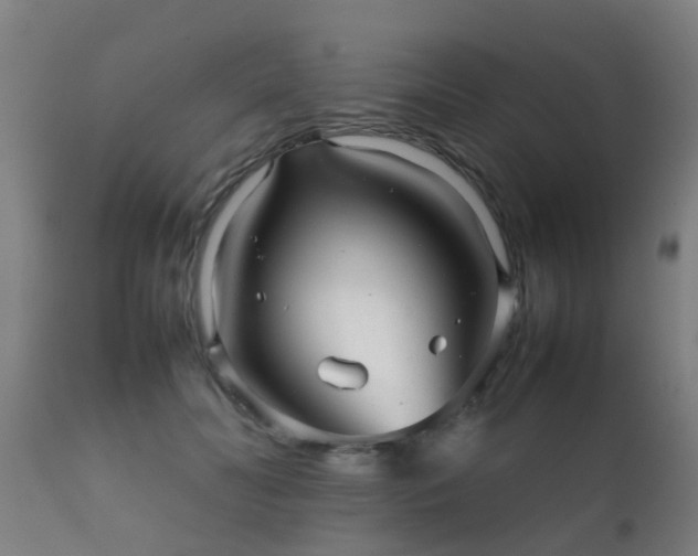 X0000112090606200908111355