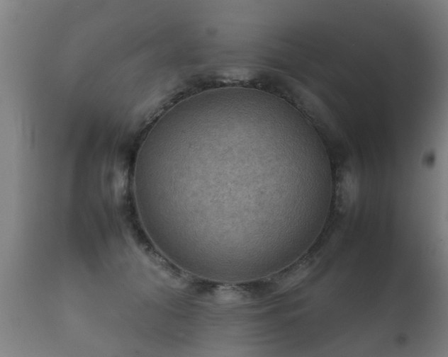 X0000112090608200908111355