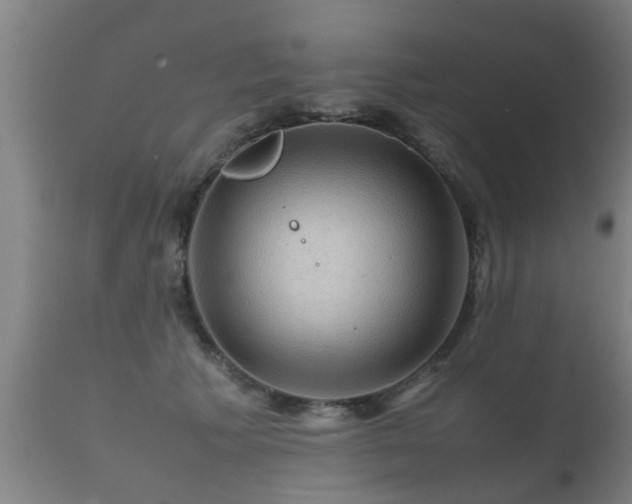 X0000112090609200908111355