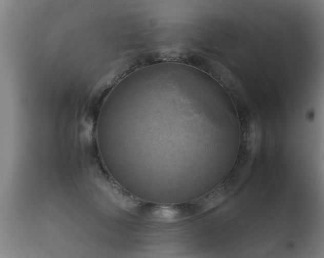 X0000112090610200908111355