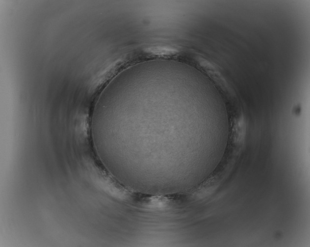 X0000112090612200908111355