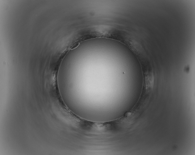 X0000112090613200908111355