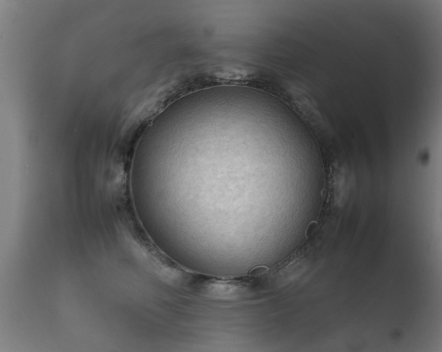 X0000112090614200908111355