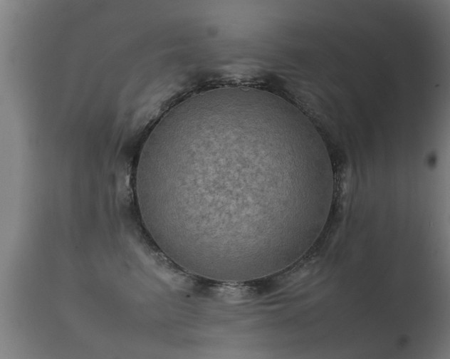 X0000112090615200908111355