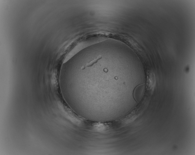 X0000112090616200908111355