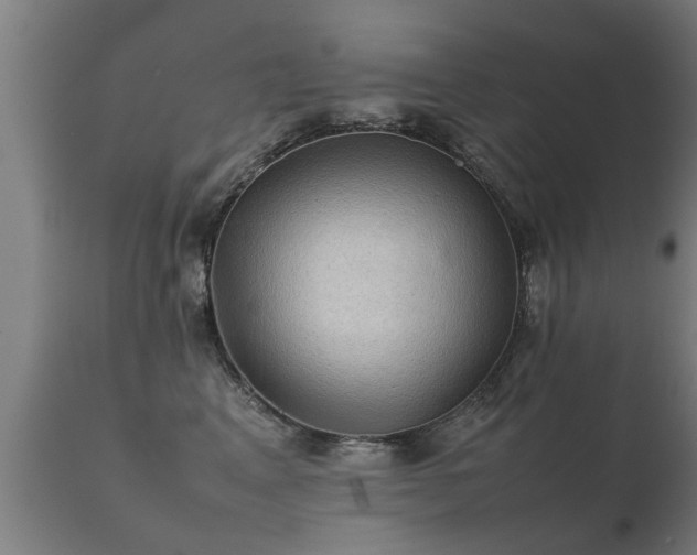 X0000112090617200908111355