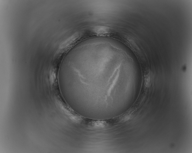 X0000112090618200908111355