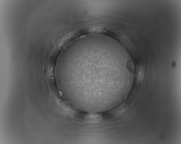 X0000112090619200908111355