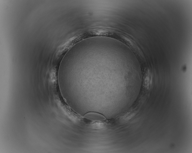 X0000112090620200908111355