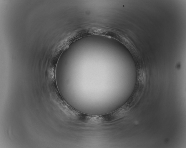 X0000112090621200908111355