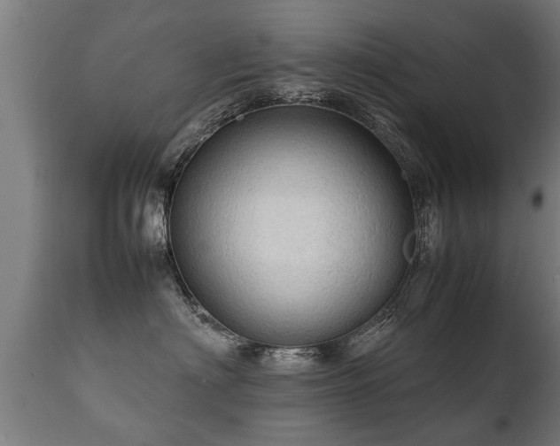 X0000112090622200908111355