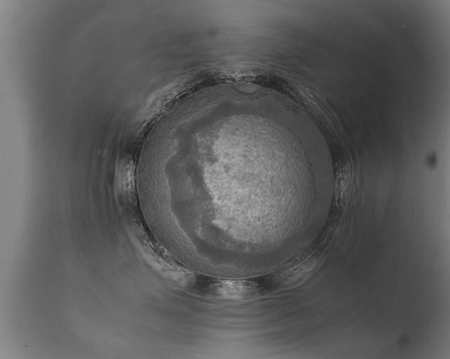 X0000112090623200908111355