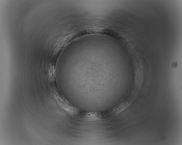 X0000112090624200908111355