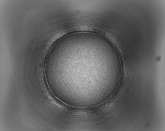 X0000112090625200908111354